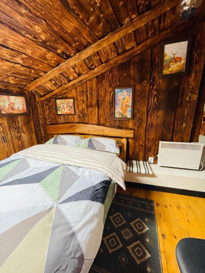 Cabana Vanatorului 8 Sohodol  Eksteriør bilde